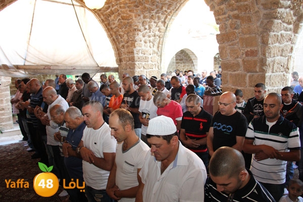 3eed ad7a akber 0510 (27).JPG